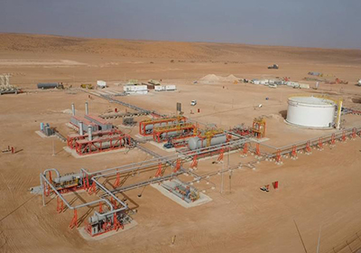 Descriptive Alt Text